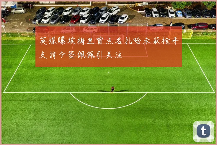 英媒曝埃梅里曾点名扎哈未获枪手支持今签佩佩引关注